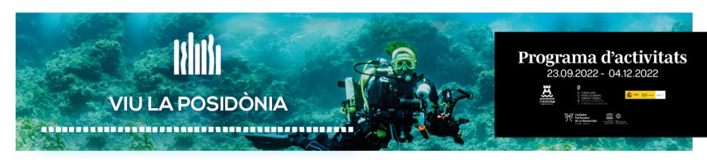 viu-la-posidónia-Scuba-Ibiza-1024x238
